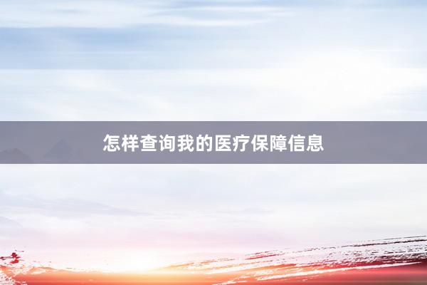 怎样查询我的医疗保障信息